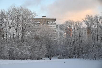 Зимняя прогулка в парке