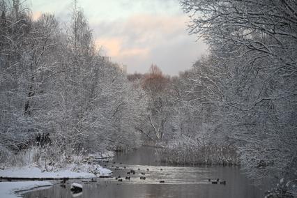 Зимняя прогулка в парке