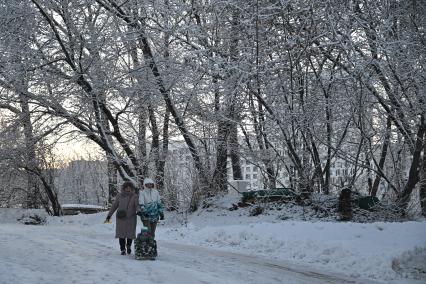 Зимняя прогулка в парке