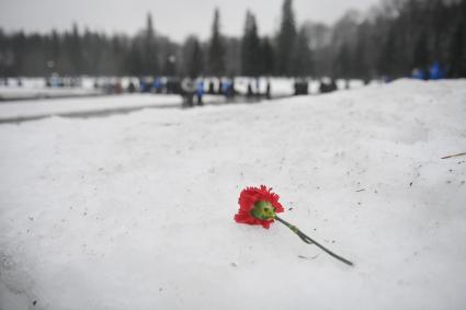 Празднование 81-й годовщины снятия блокады Ленинграда