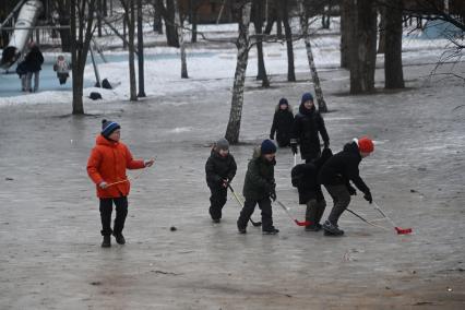 Дети играют в хоккей