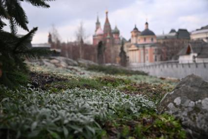 Теплая погода в Москве