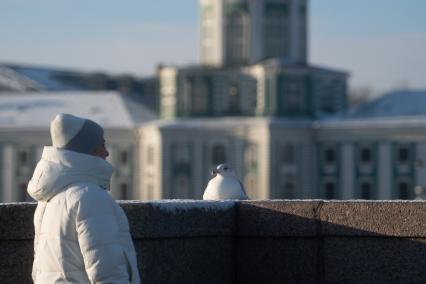 Похолодание в Санкт-Петербурге