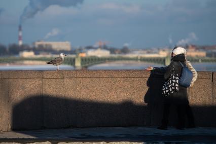 Похолодание в Санкт-Петербурге