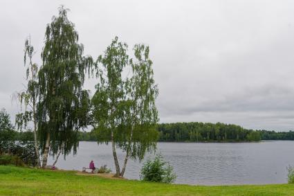 Как я зарабатывал миллион на сборе морошки и черники: репортаж спецкора \"Комсомолки\"