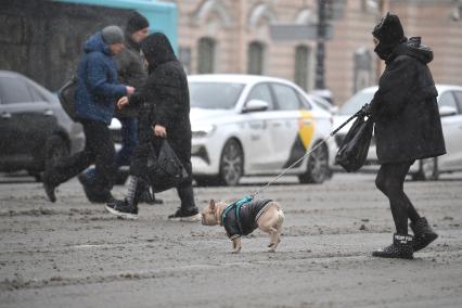 Зима вернулась в Петербург