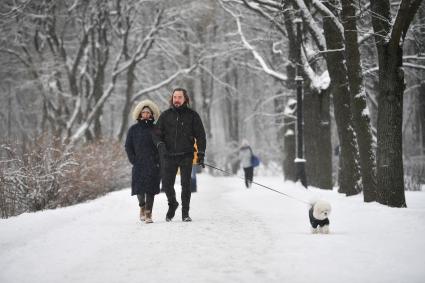 Зима вернулась в Петербург