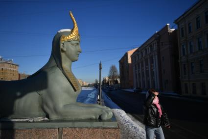 Повседневная жизнь Санкт-Петербурга