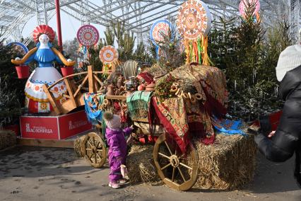 Посетители в кинопарке Москино\"