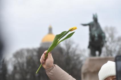 Празднование международного женского дня в Санкт-Петербурге