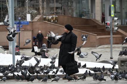 В Москве выпал снег