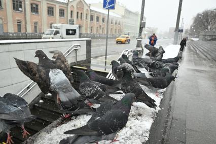 Апрельский снег в Москве