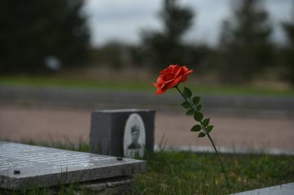 Возложение цветов к мемориальному комплексу Невский пятачок\"