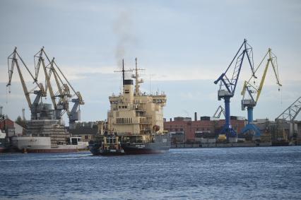 Фестиваль ледоколов в Санкт-Петербурге
