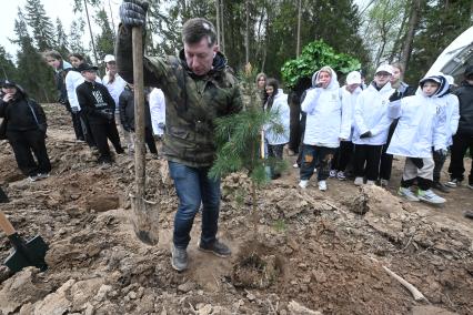 В Новой Москве высадили 5000 саженцев сосны и дуба