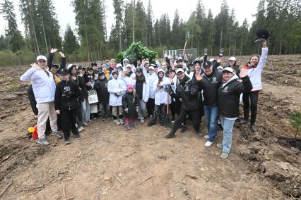 В Новой Москве высадили 5000 саженцев сосны и дуба