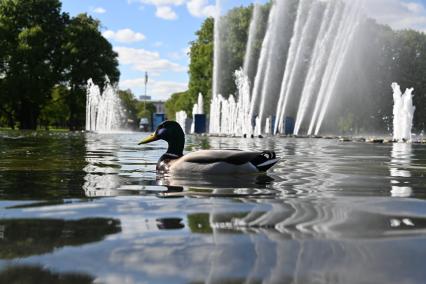 В Москве заработали фонтаны