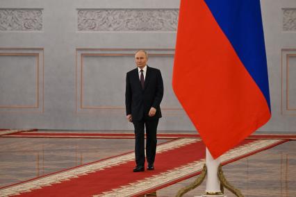 Президент РФ Владимир Путин во время встречи с председателем КНР Си Цзиньпином в Кремле