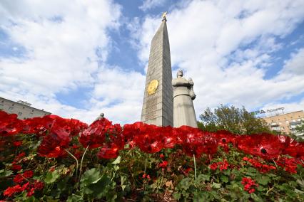 Цветочные клумбы и арт- объекты на улицах Москвы