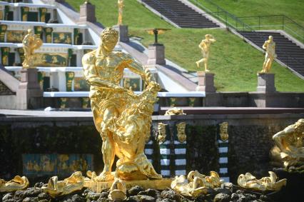 Весенний праздник фонтанов в Петергофе