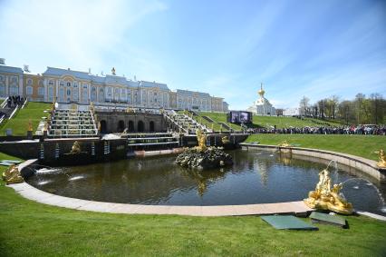 Весенний праздник фонтанов в Петергофе