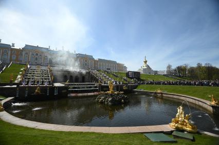 Весенний праздник фонтанов в Петергофе