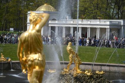 Весенний праздник фонтанов в Петергофе