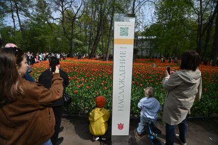Фестиваль тюльпанов в Санкт-Петербурге