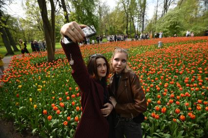 Фестиваль тюльпанов в Санкт-Петербурге
