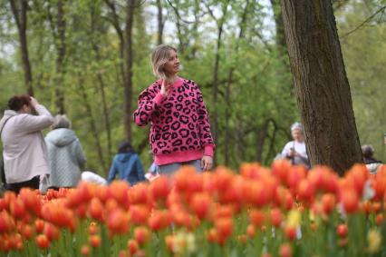 Фестиваль тюльпанов в Санкт-Петербурге
