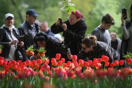 Фестиваль тюльпанов в Санкт-Петербурге