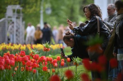 Фестиваль тюльпанов в Санкт-Петербурге