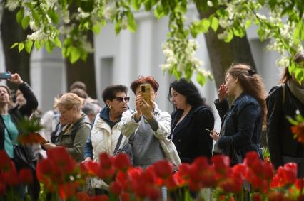 Фестиваль тюльпанов в Санкт-Петербурге