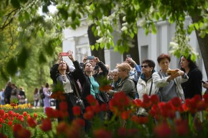 Фестиваль тюльпанов в Санкт-Петербурге