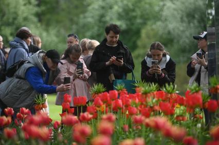 Фестиваль тюльпанов в Санкт-Петербурге