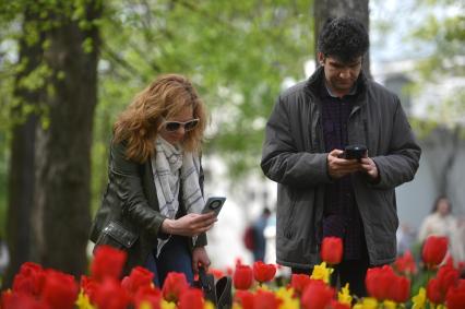 Фестиваль тюльпанов в Санкт-Петербурге