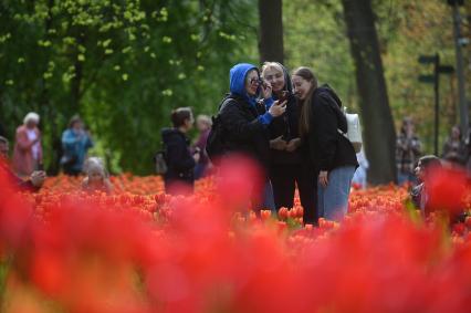 Фестиваль тюльпанов в Санкт-Петербурге