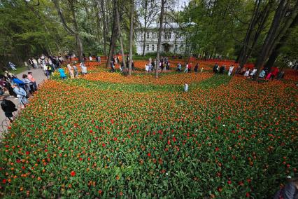 Фестиваль тюльпанов в Санкт-Петербурге