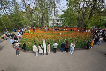Фестиваль тюльпанов в Санкт-Петербурге
