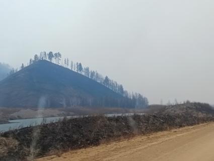 Лесные пожары в Забайкалье