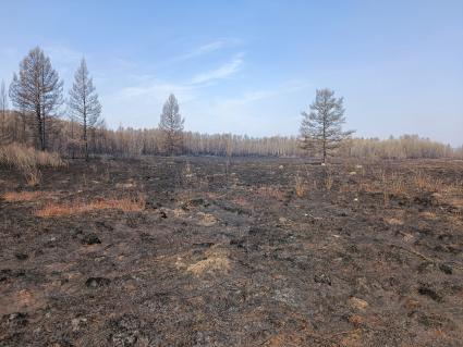 Лесные пожары в Забайкалье