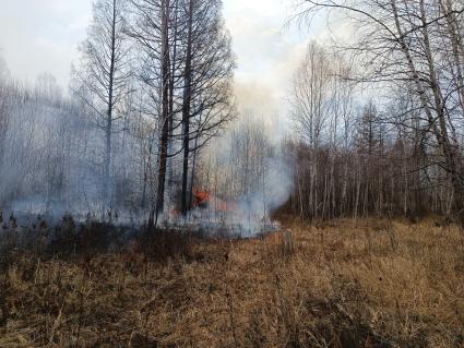 Лесные пожары в Забайкалье
