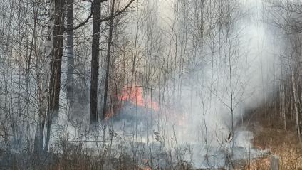 Лесные пожары в Забайкалье