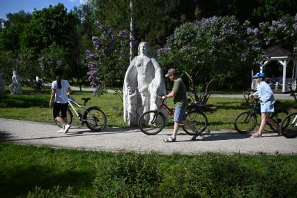Сирень в парке Сокольники\"