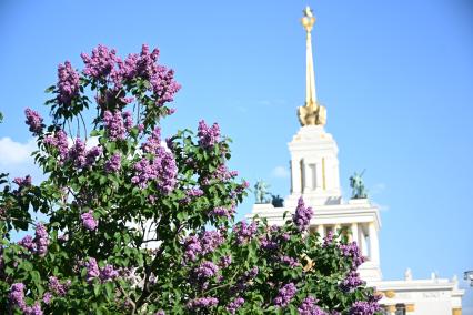 Прогулка на ВДНХ