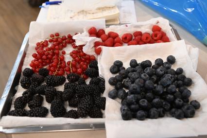 Городской конкурс на лучшего кондитера Московские мастера\"