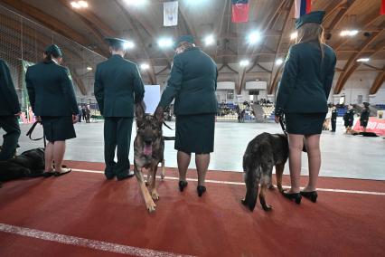 Всероссийский чемпионат среди кинологов таможенных органов в Щелково