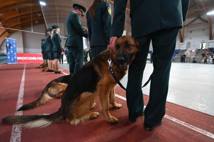 Всероссийский чемпионат среди кинологов таможенных органов в Щелково