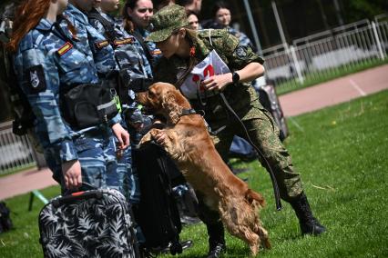 Всероссийский чемпионат среди кинологов таможенных органов в Щелково