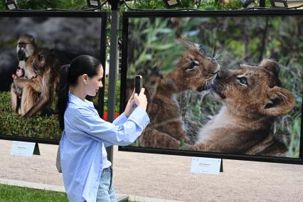 Фотовыставка Золото Африки\" на Тверском бульваре